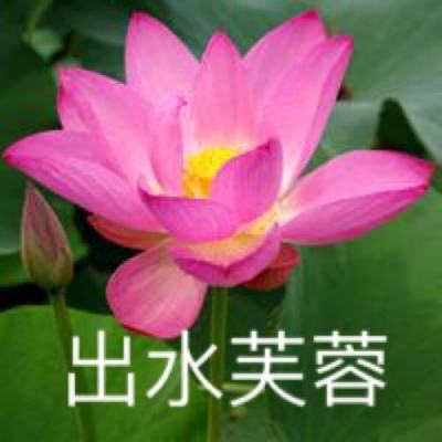 声波赛跑者超级冒险游戏
